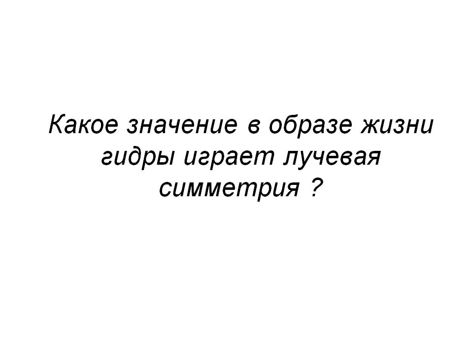 Что такое кракен 2024 маркетплейс