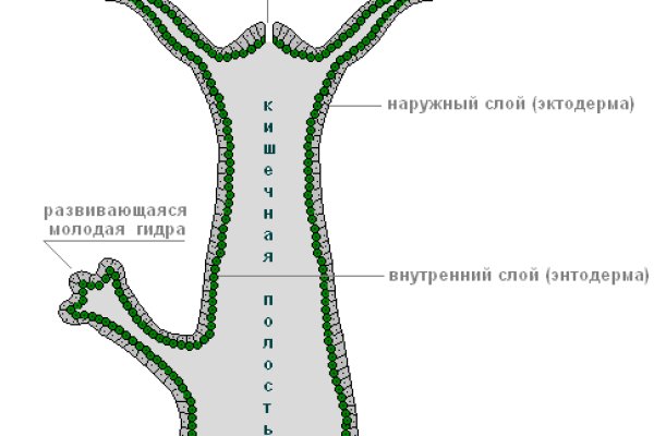 Кракен даркнет kraken014 com